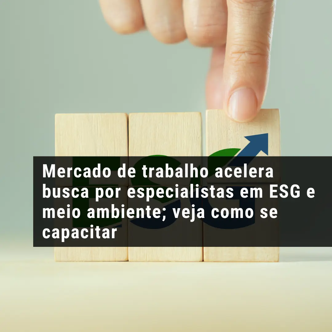 Mercado de trabalho acelera busca por especialistas em ESG e meio ambiente; veja como se capacitar