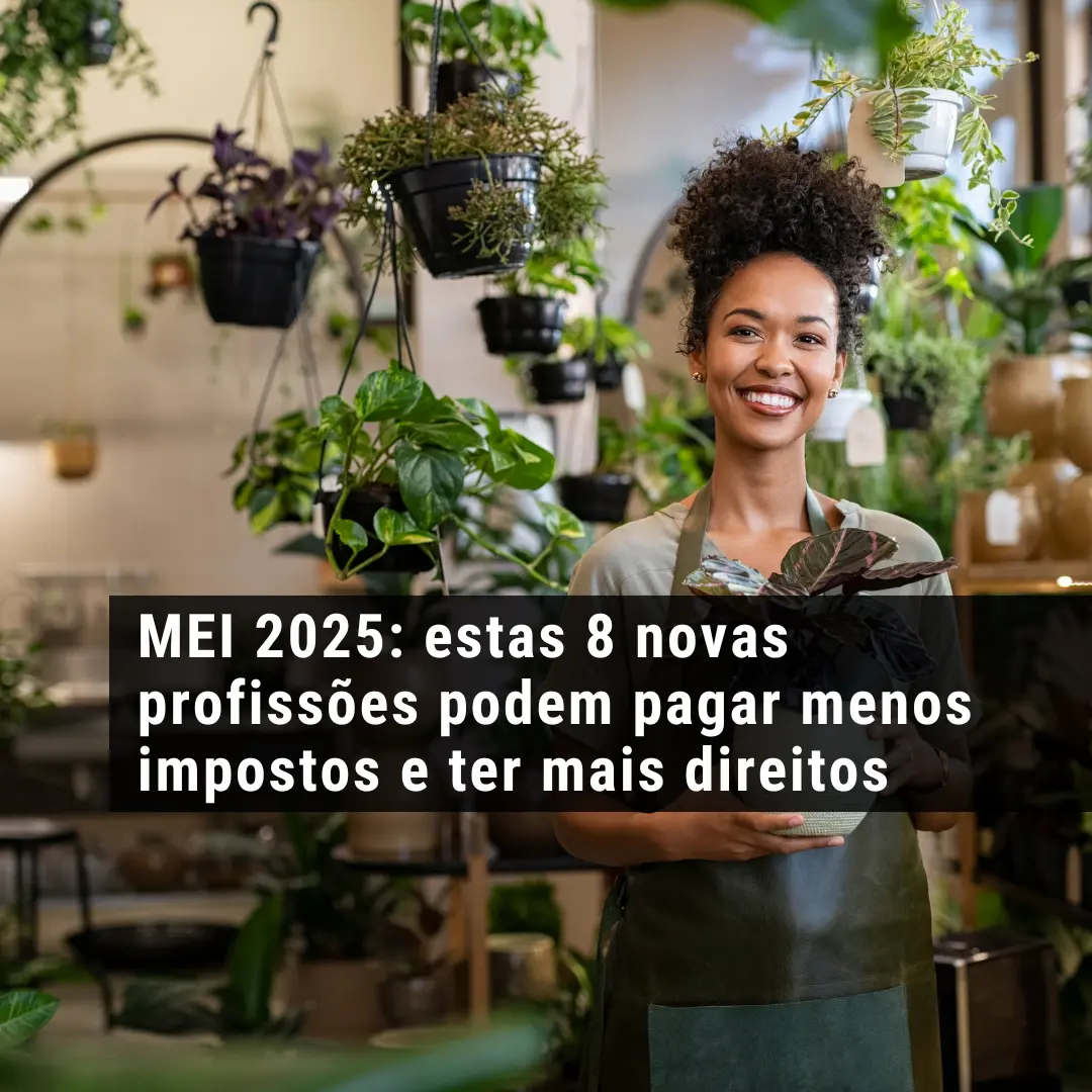 MEI 2025: estas 8 novas profissões podem pagar menos impostos e ter mais direitos